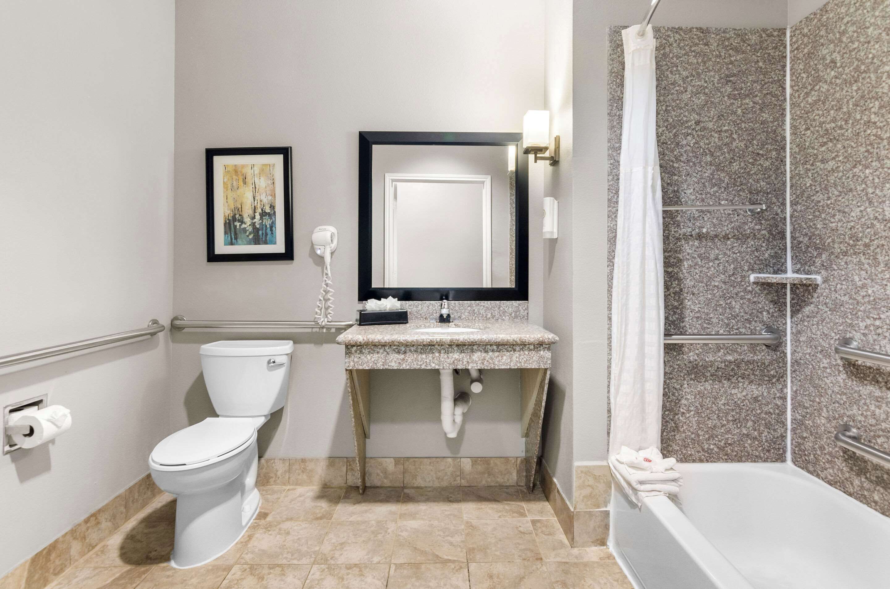 A bathroom with a toilet, sink, mirror, shower, and a framed picture on the wall.