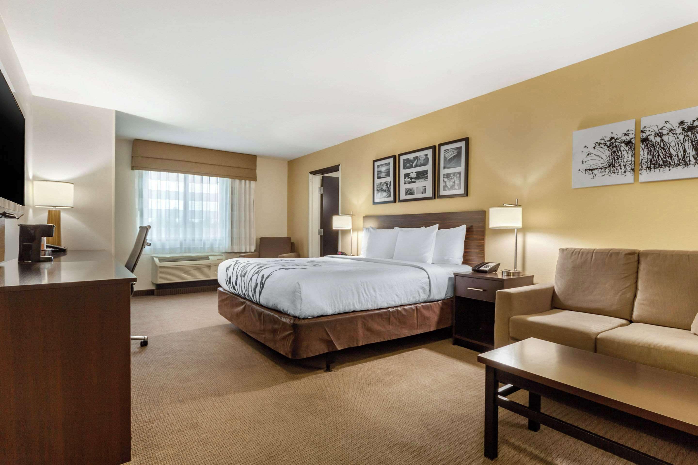 suite, 1 king bed with sofa bed, accessible, non smoking | hypo-allergenic bedding, desk, laptop workspace, blackout curtains