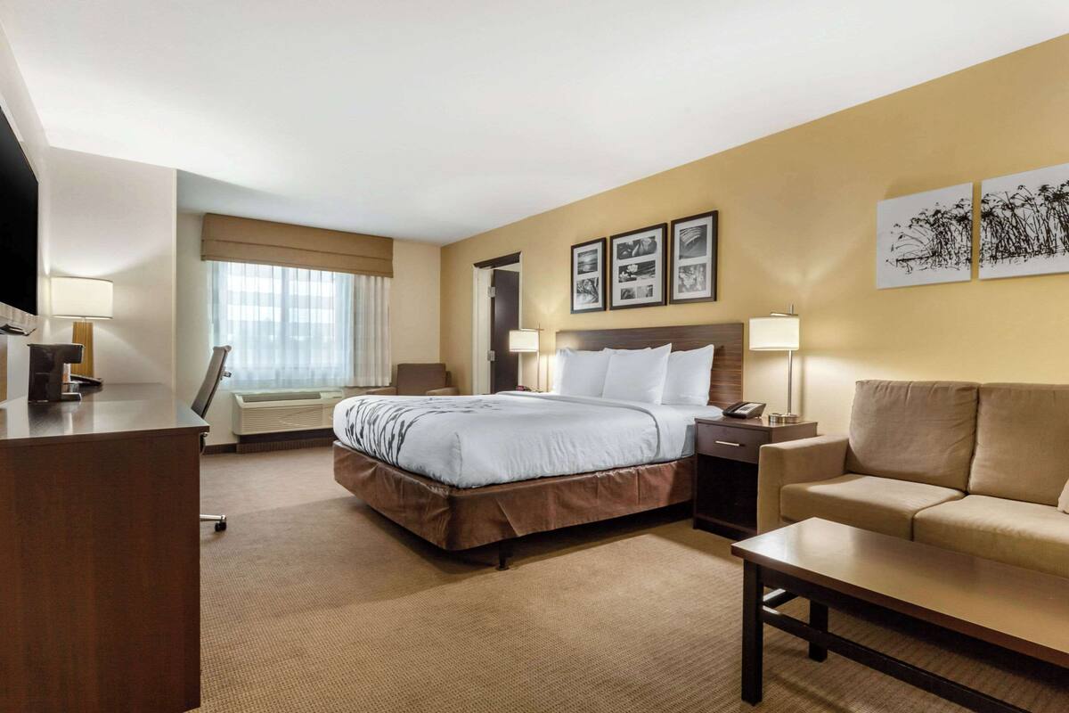 suite, 1 king bed with sofa bed, accessible, non smoking | hypo-allergenic bedding, desk, laptop workspace, blackout curtains