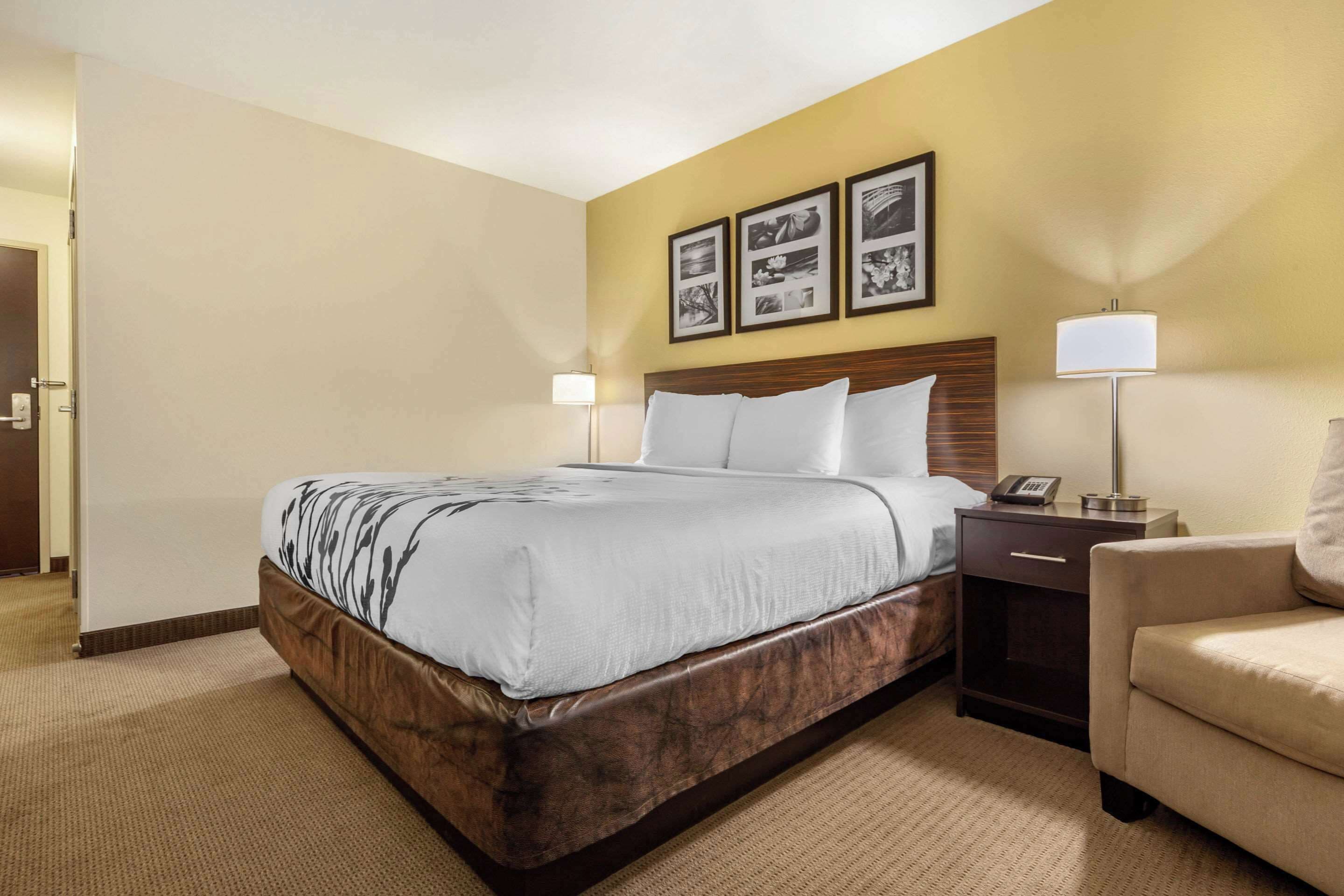 A hotel room with a large bed, a bedside table with a lamp, a chair, and a wall with framed pictures.