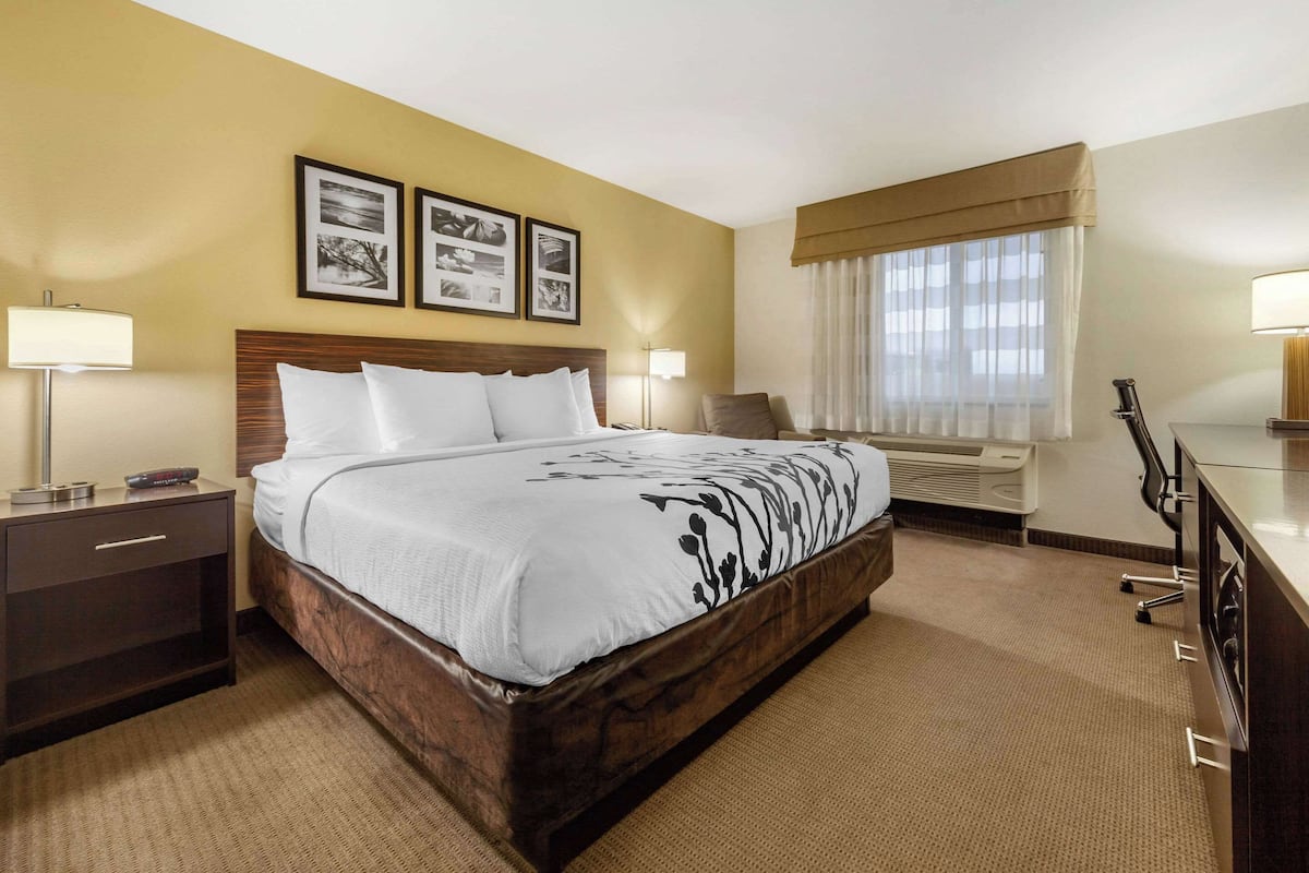 Standard Room, 1 King Bed, Non Smoking | Hypo-allergenic bedding, desk, laptop workspace, blackout drapes