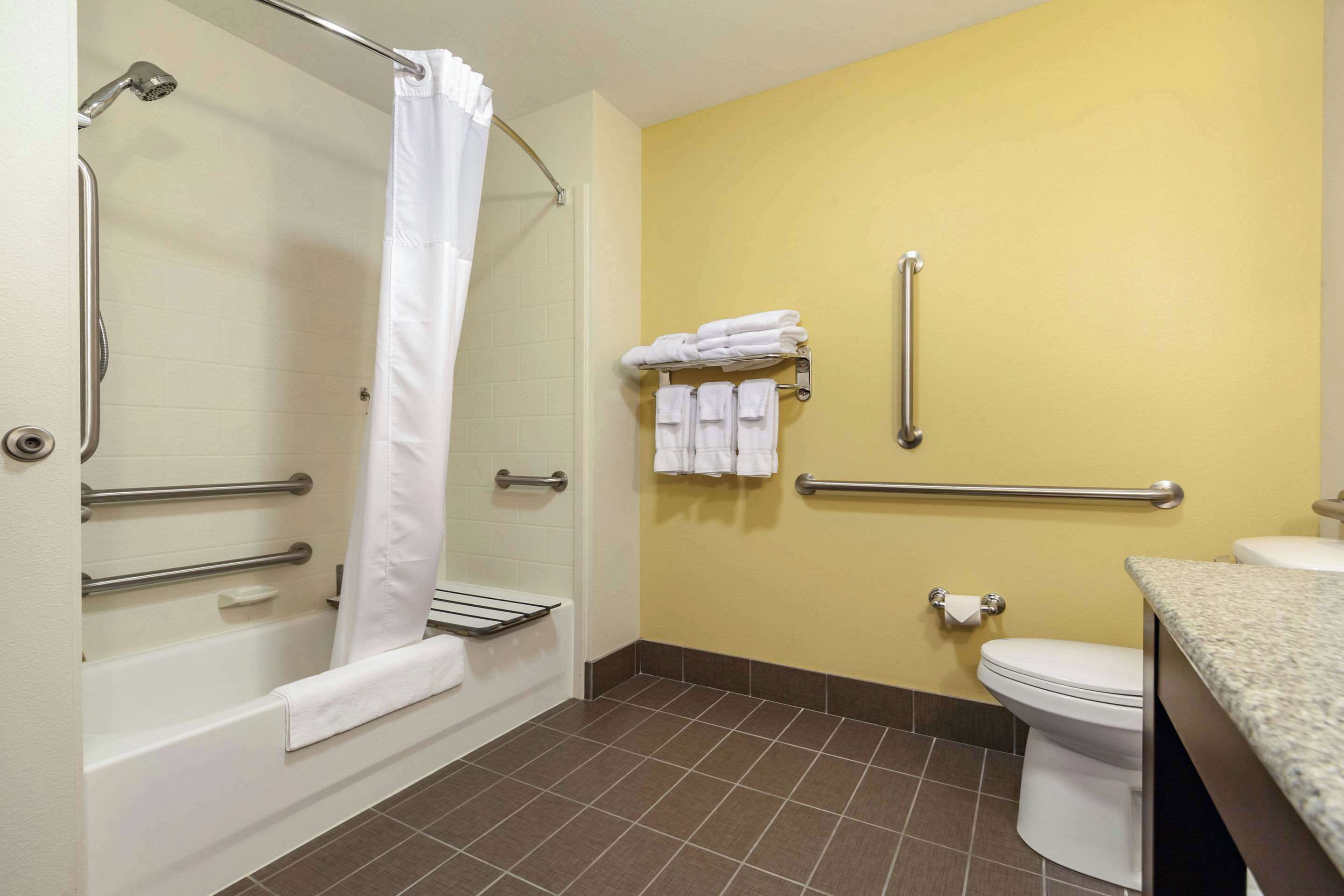 Baño con ducha, inodoro y barras de apoyo.