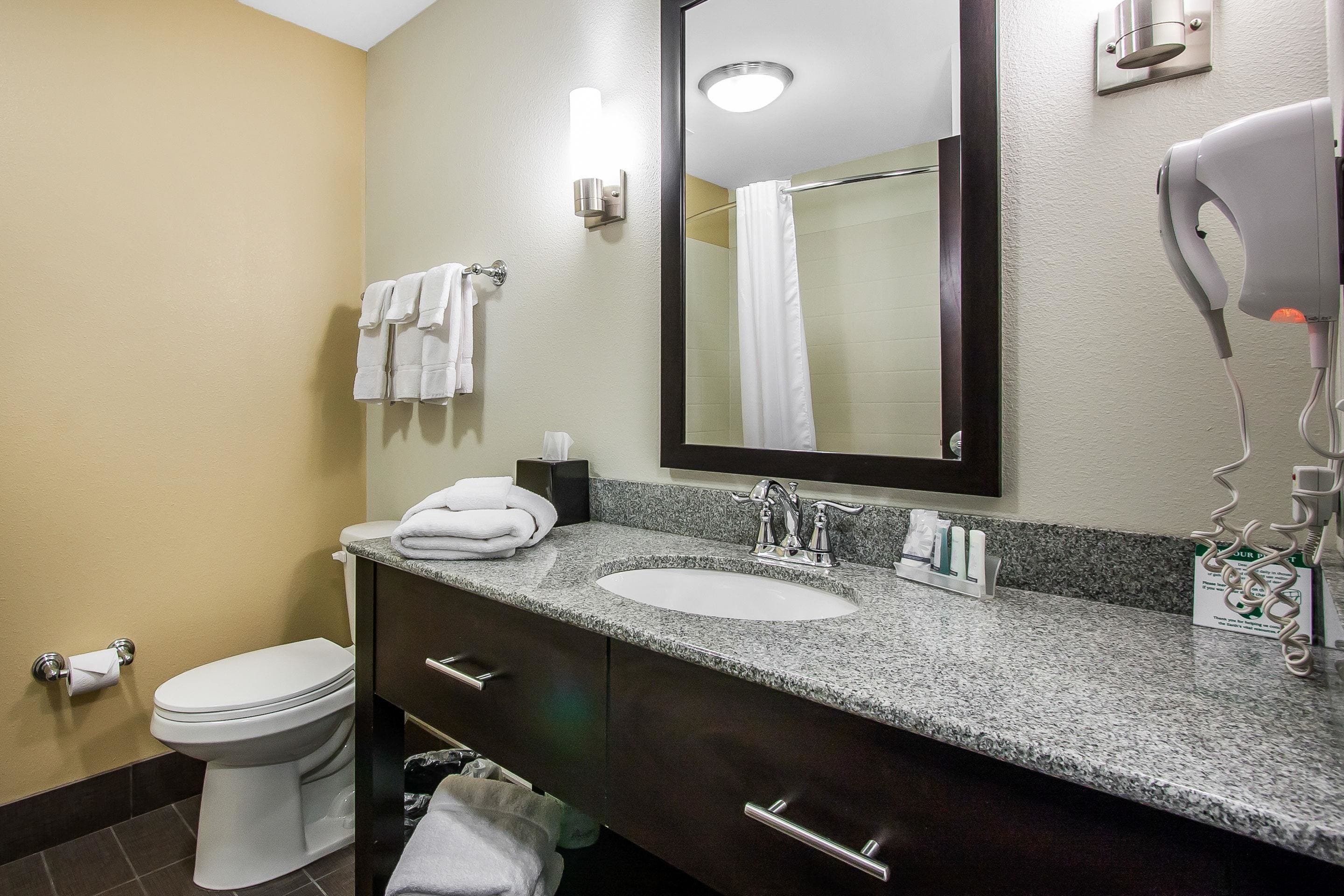 standard room, 1 king bed, non smoking | bathroom | combined shower/bathtub, free toiletries, hair dryer, towels