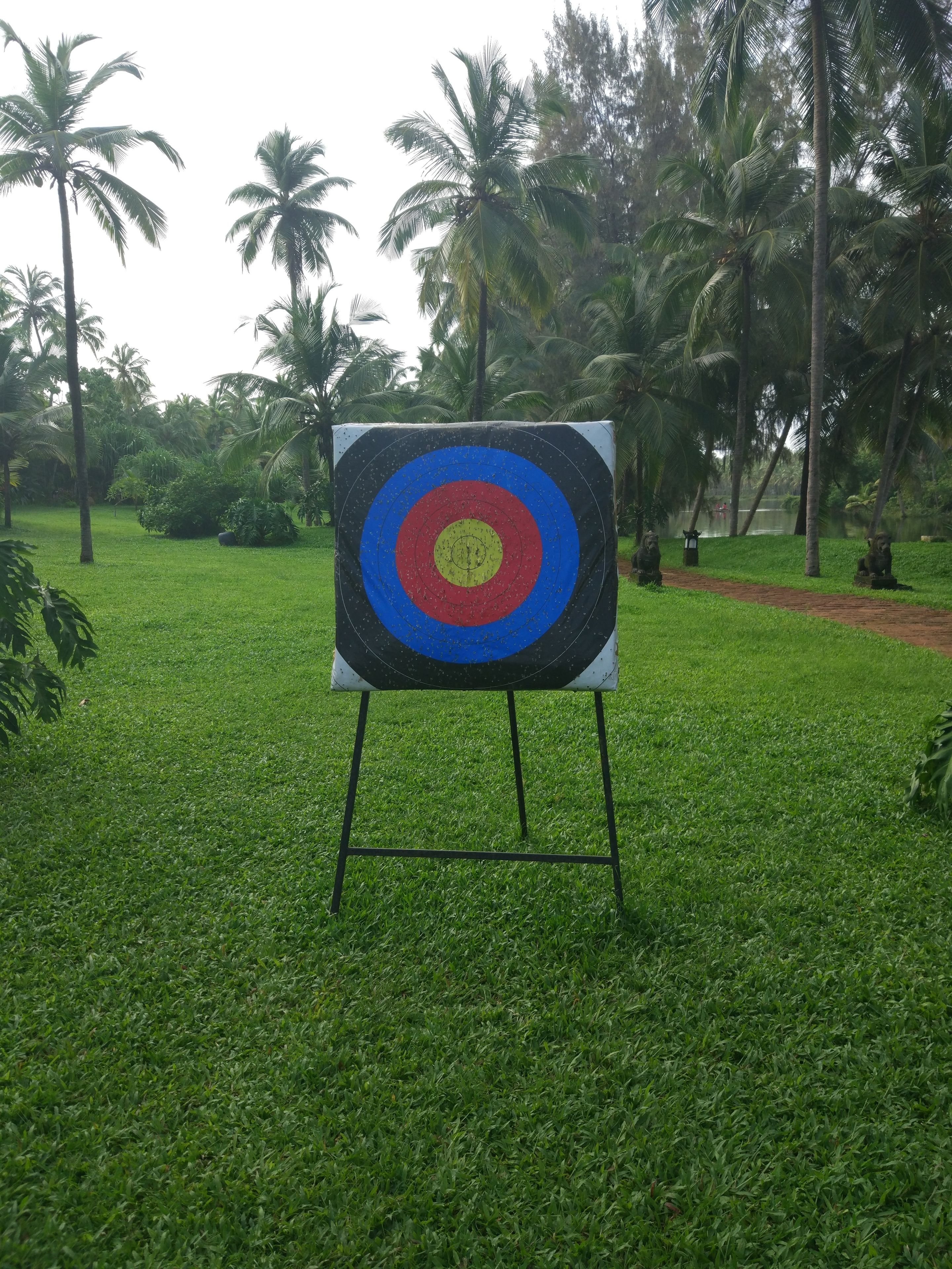 A target board on a stand in a grassy area with palm trees in the background.
