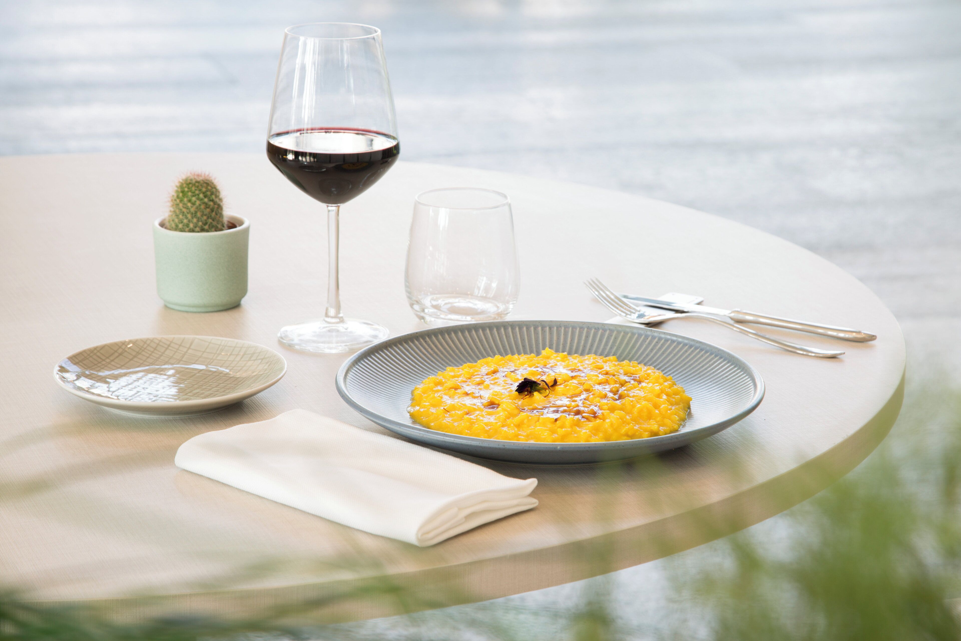 A dining table with a plate of food, a glass of red wine, a small potted plant, and cutlery.