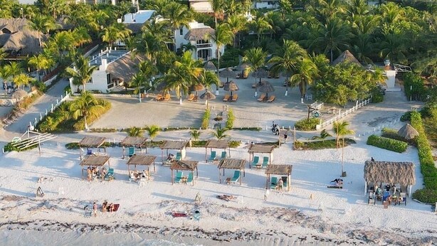 A beach resort with thatched-roof huts, palm trees, and a clear view of the ocean.