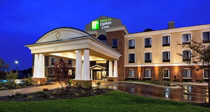 Holiday Inn Express Hotel & Suites Lansing-Dimondale by IHG