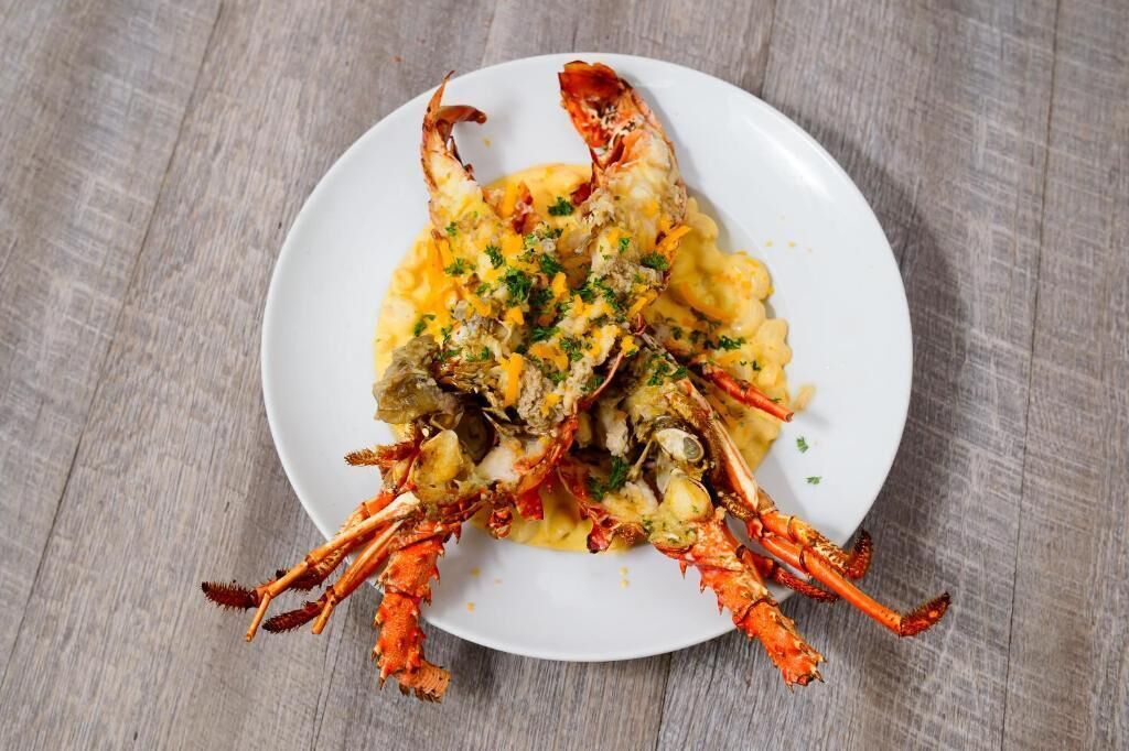 A lobster dish on a white plate with a wooden table background.