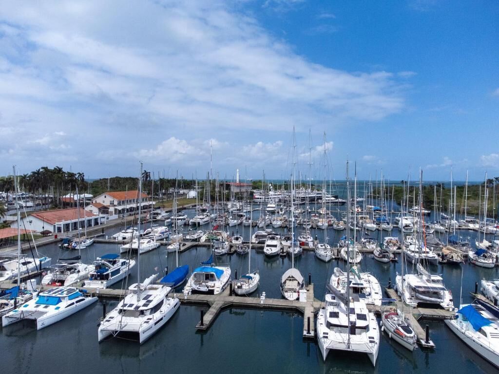 A marina with numerous boats docked, a clear sky, and buildings in the background.