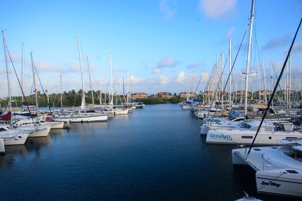 Een jachthaven met meerdere boten afgemeerd, kalm water en gebouwen op de achtergrond.