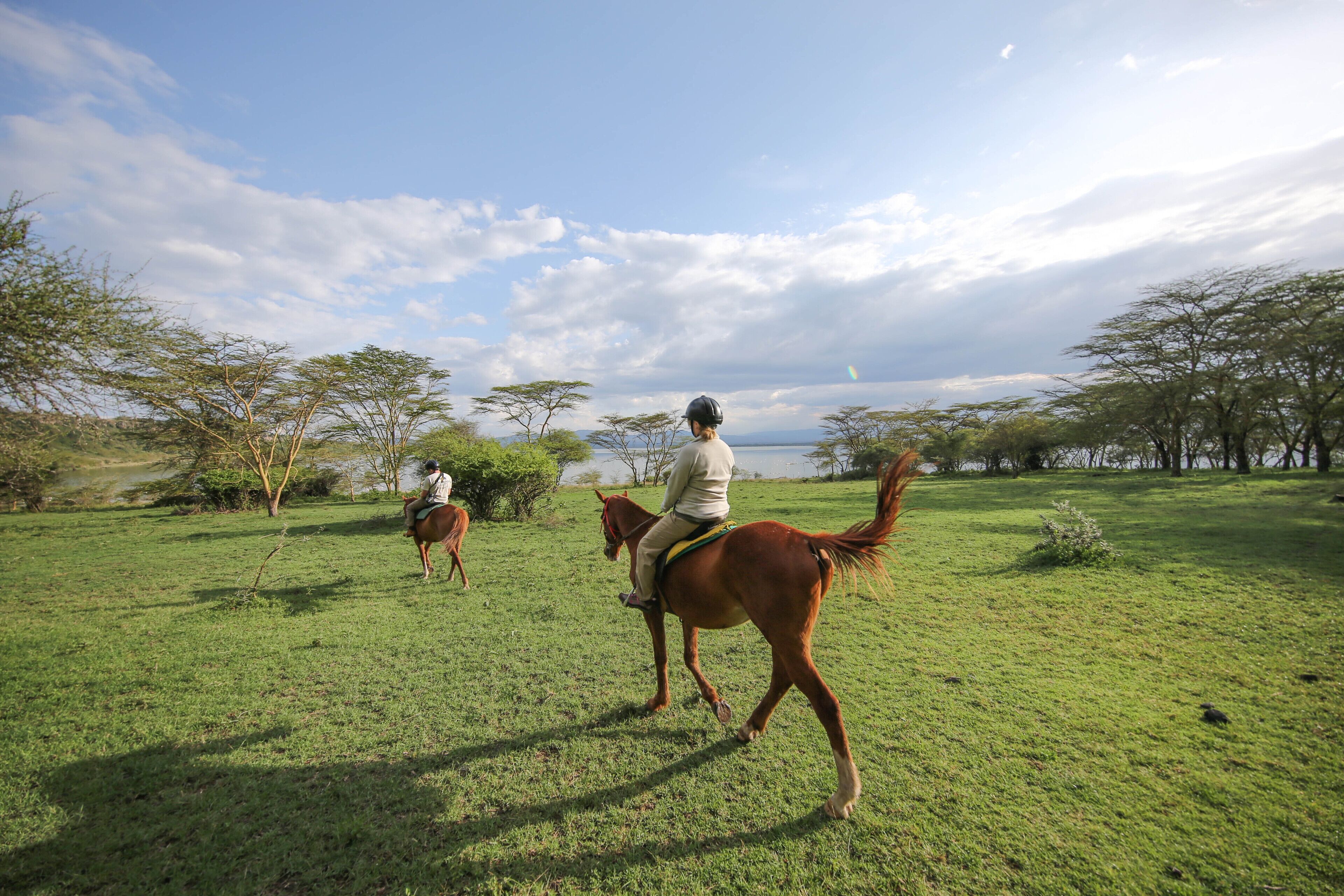 Dos personas montando a caballo en un campo con césped, árboles y una masa de agua al fondo.