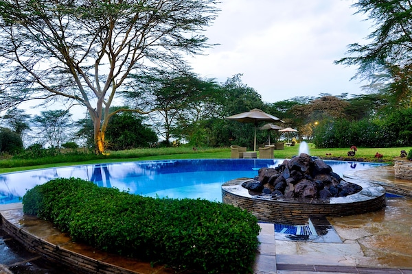 Outdoor pool, sun loungers