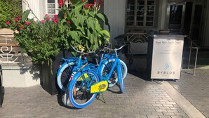 Uklassifisert bilde, 4 av 28, knapp
