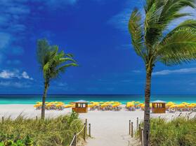 Royal Palm South Beach Miami, a Tribute Portfolio Resort