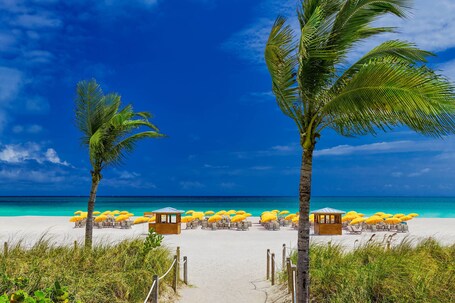 Royal Palm South Beach Miami, a Tribute Portfolio Resort - Image 2
