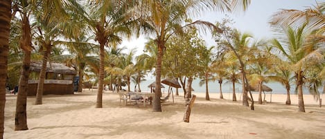 Nära stranden, parasoller och strandhanddukar