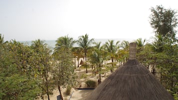 A thatched-roof hut surrounded by palm trees and a sandy beach.