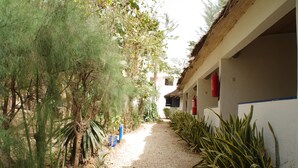 A pathway leading to a building with a thatched roof, surrounded by various plants and a gravel path. - Blue Africa (Mbour)