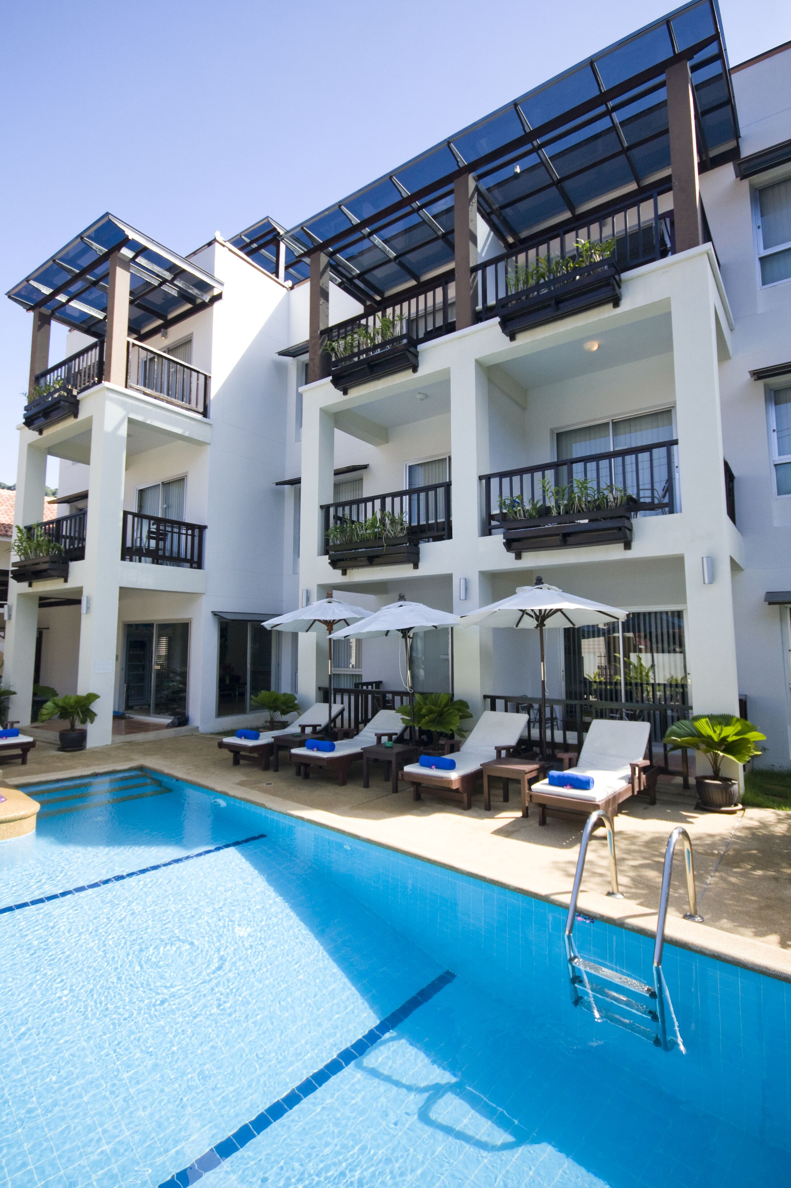 Outdoor pool, sun loungers
