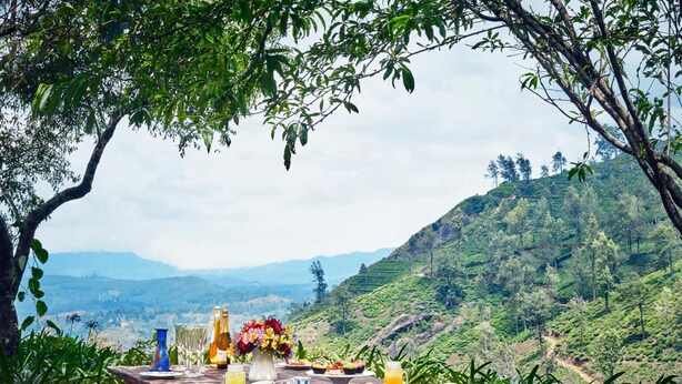 A picnic setup with a table, food, drinks, and a scenic view of a hilly landscape.