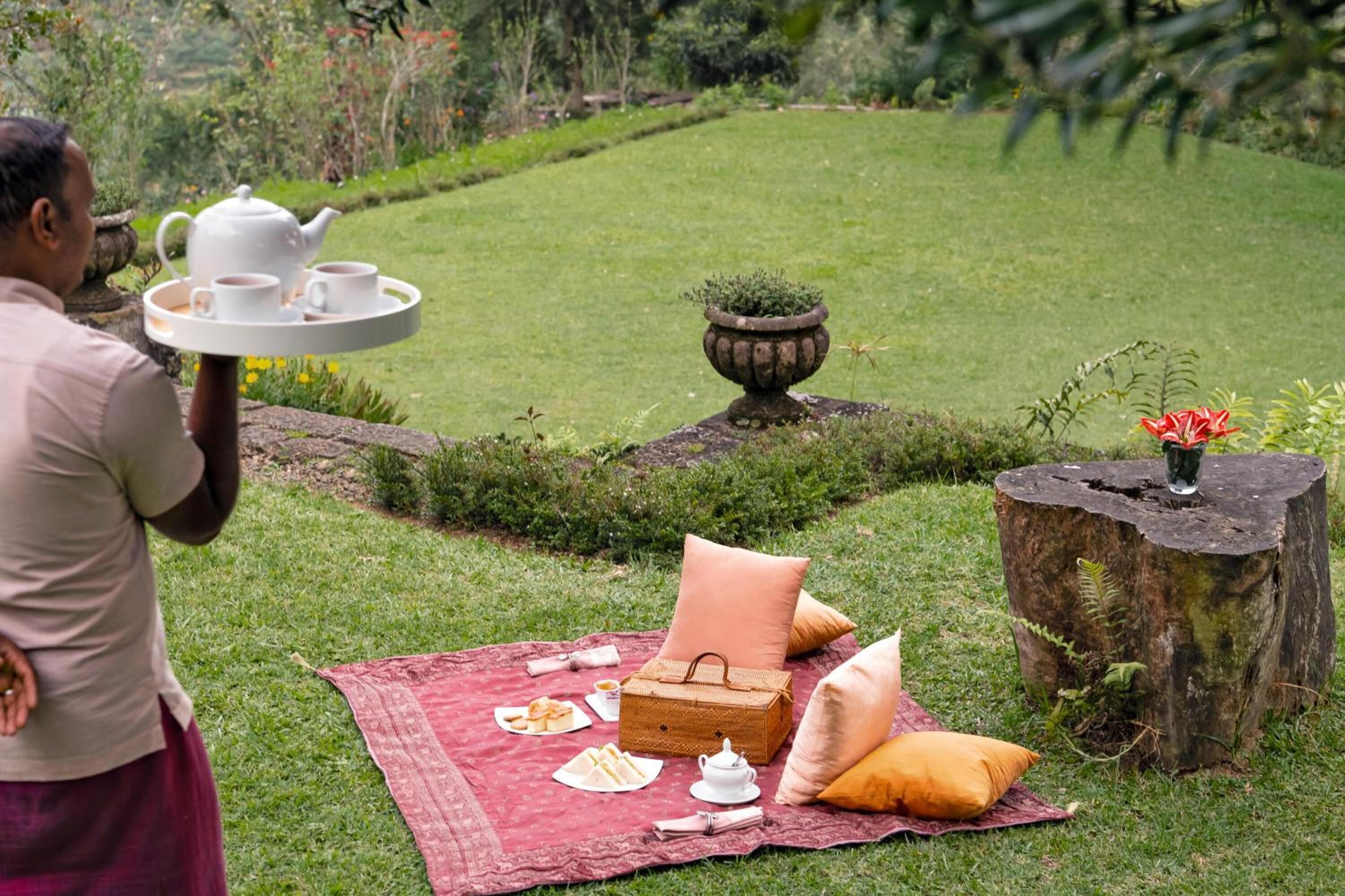 A picnic setup with a tray of tea and biscuits, a picnic basket, and a blanket on a grassy lawn.