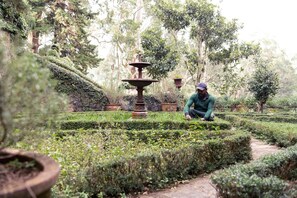 Property grounds - Jetwing Warwick Gardens, A Luxury Reserve (Welimada)