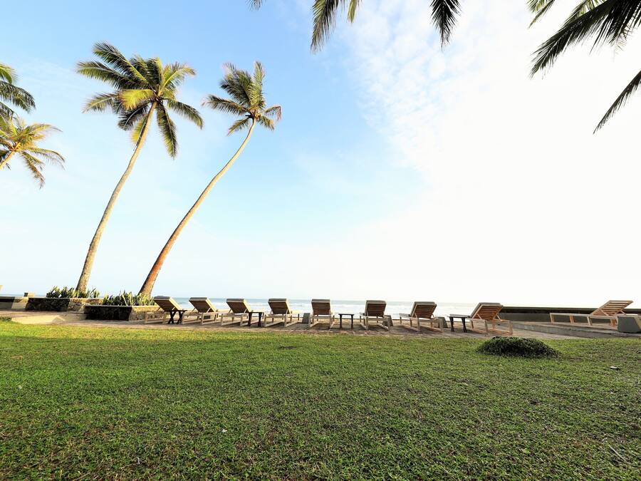 Une zone herbeuse avec des palmiers et des chaises longues, donnant sur une plage.