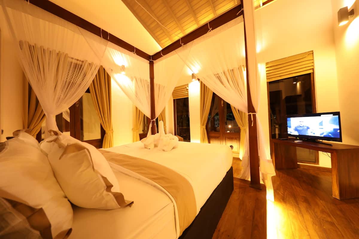 Suite | Ruang keluarga | TV dan pemutar DVD