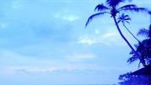 A beach view with palm trees and a clear sky. - Era Beach (Unawatuna)