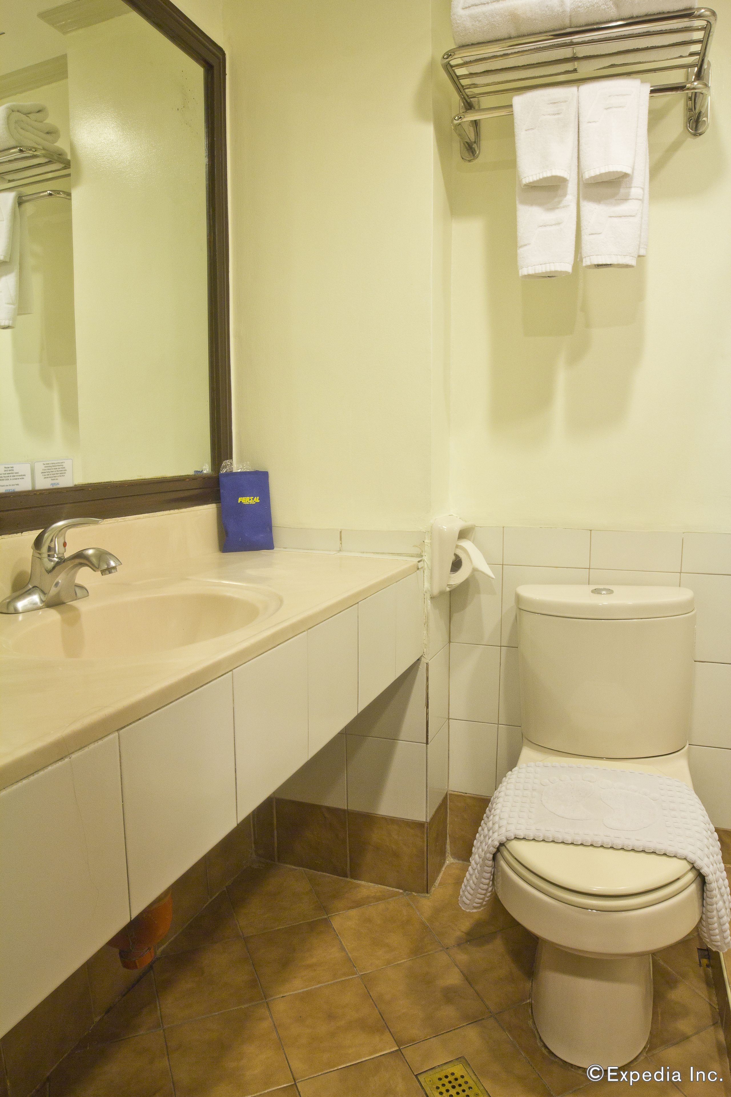 Un baño con lavamanos, espejo, inodoro y toallero.