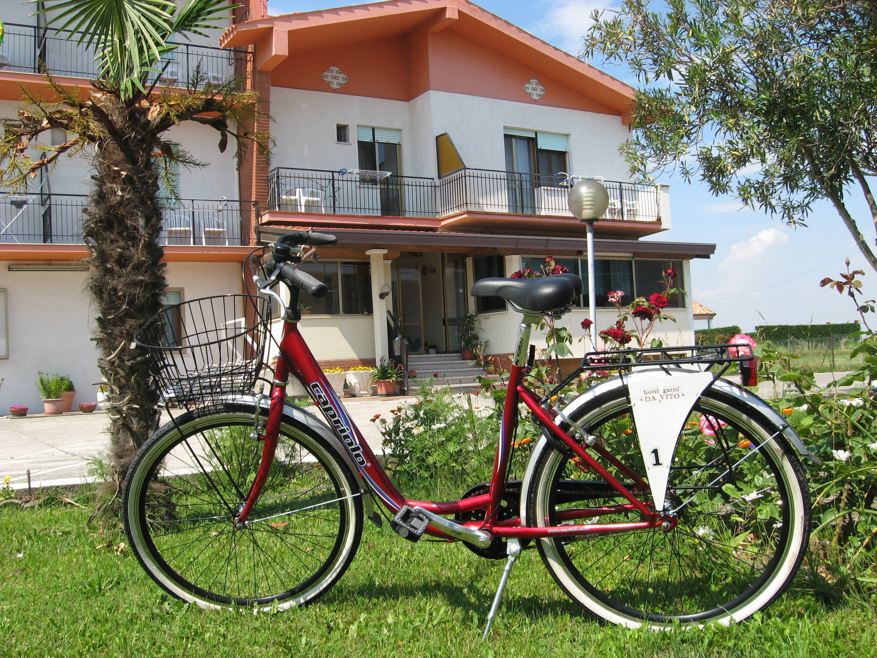 Photo - B&B Garnì Da Vito