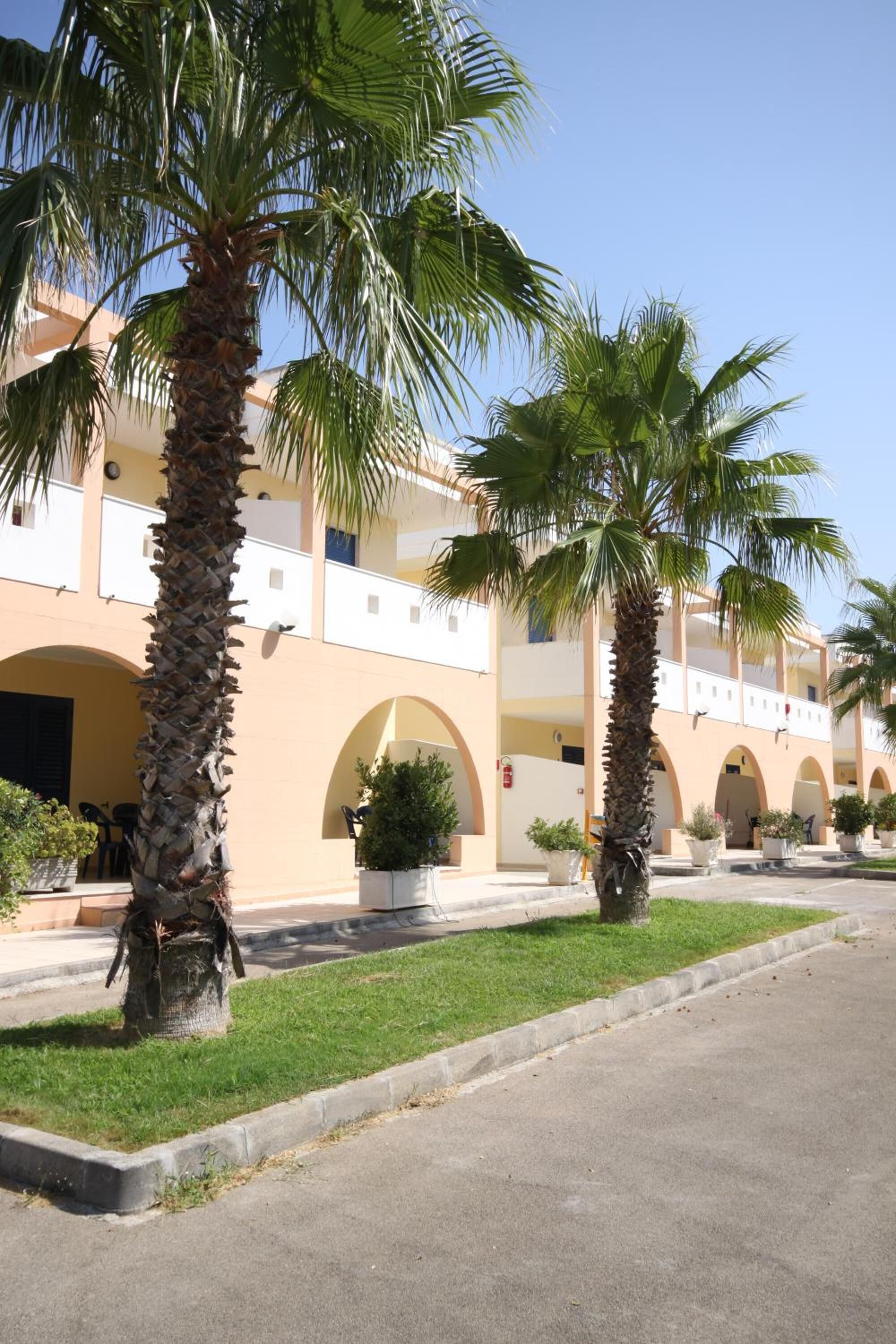 A building with multiple floors, arched doorways, and palm trees in the courtyard.