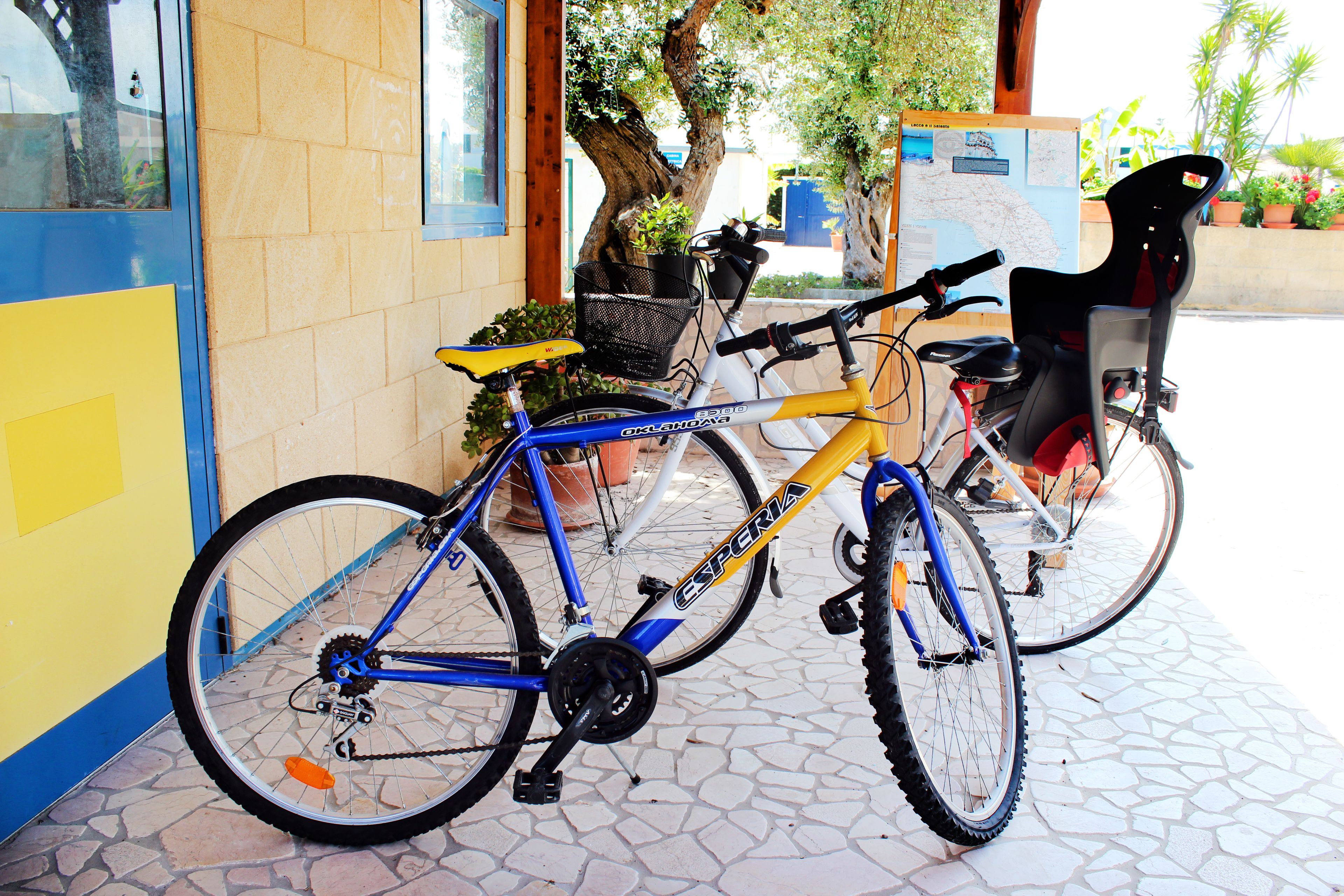 A bicycle parked outside a building with a tiled floor and a potted plant nearby.