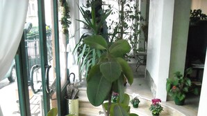 A potted plant in a room with a view of the street outside. - Albergo La Posta Arezzo (Civitella in Val di Chiana)