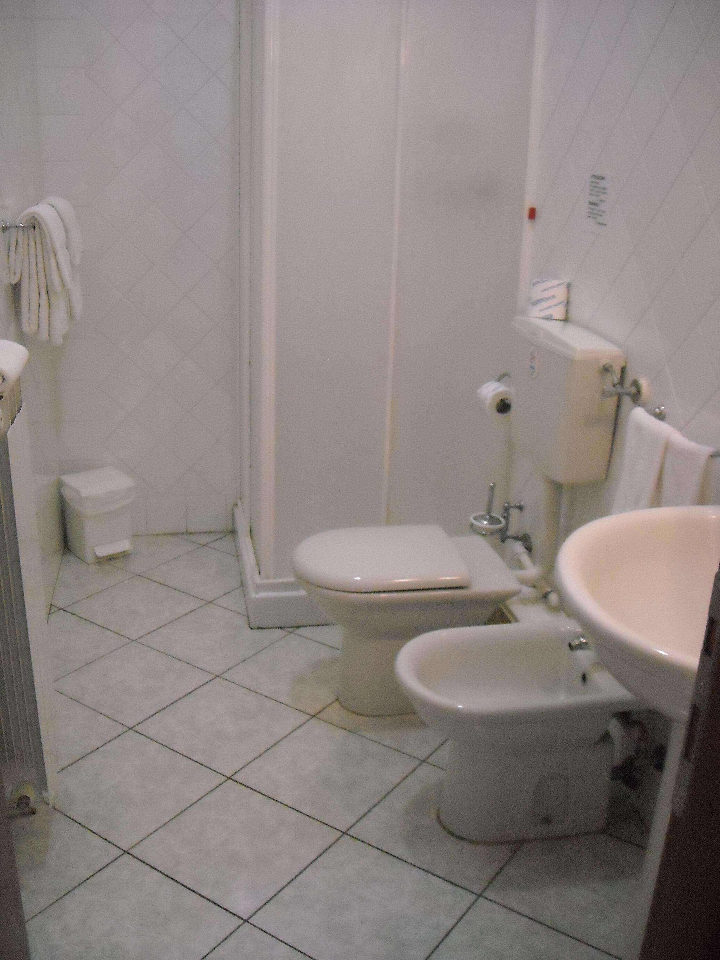 single room | bathroom | shower, rainfall showerhead, free toiletries, hair dryer