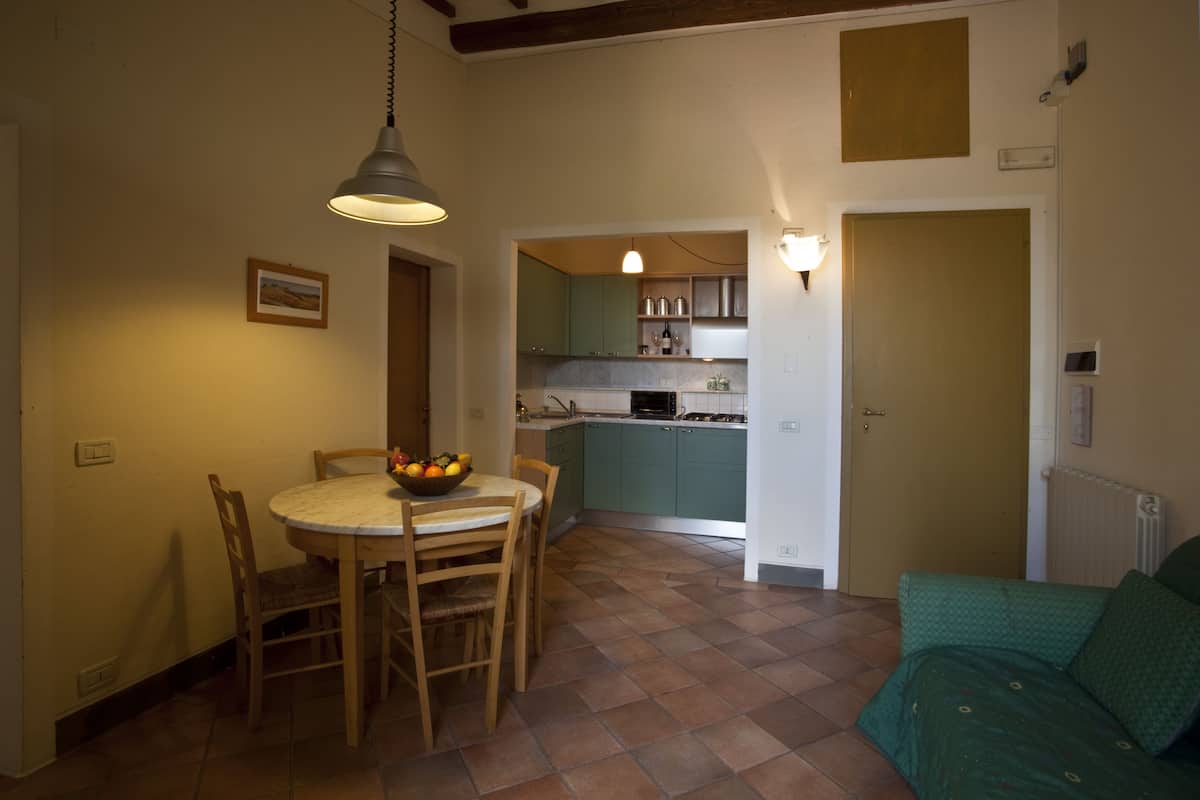 A compact kitchen with a dining table and chairs, a small island with a bowl of fruit, and a green sofa in the living area.