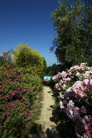 A garden path with pink and yellow flowers, a dirt path, and a blue structure in the background. - Podere il Pino (Poggibonsi)