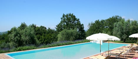 Una piscina al aire libre, sombrillas, sillones reclinables de piscina