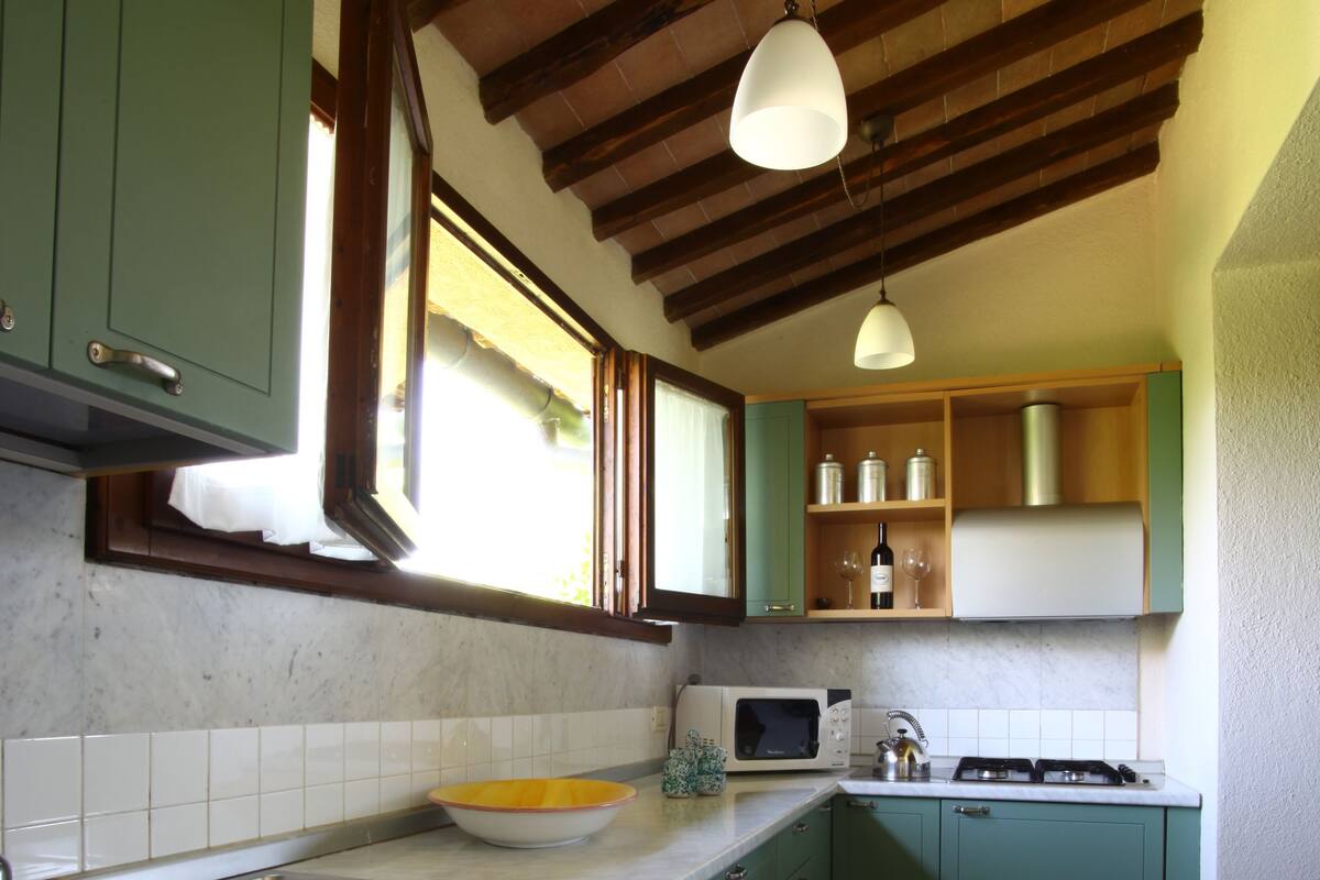 A kitchen with green cabinets, a white countertop, a sink, a microwave, and a stove.