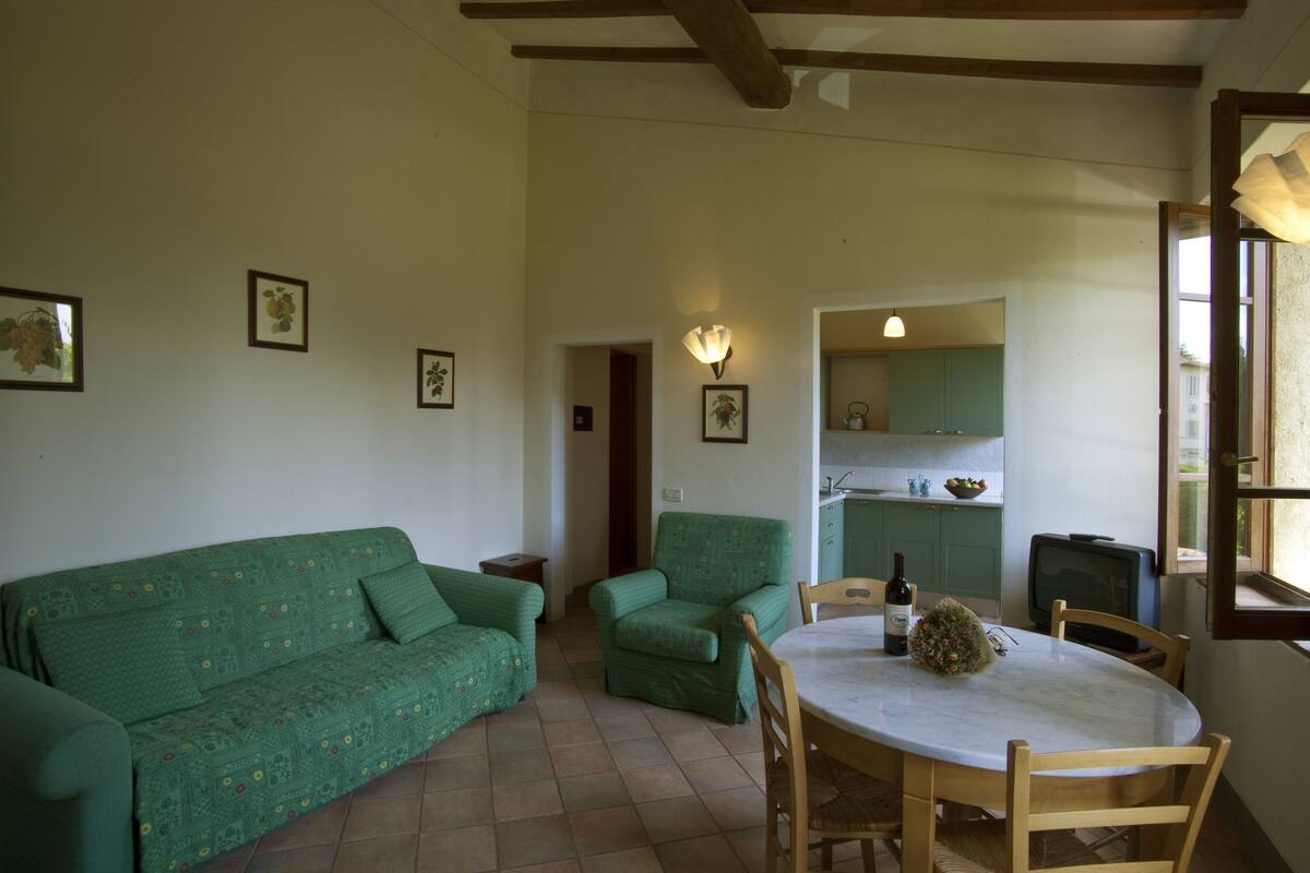 A cozy living room with a green sofa, a dining table with chairs, and a kitchen area in the background.