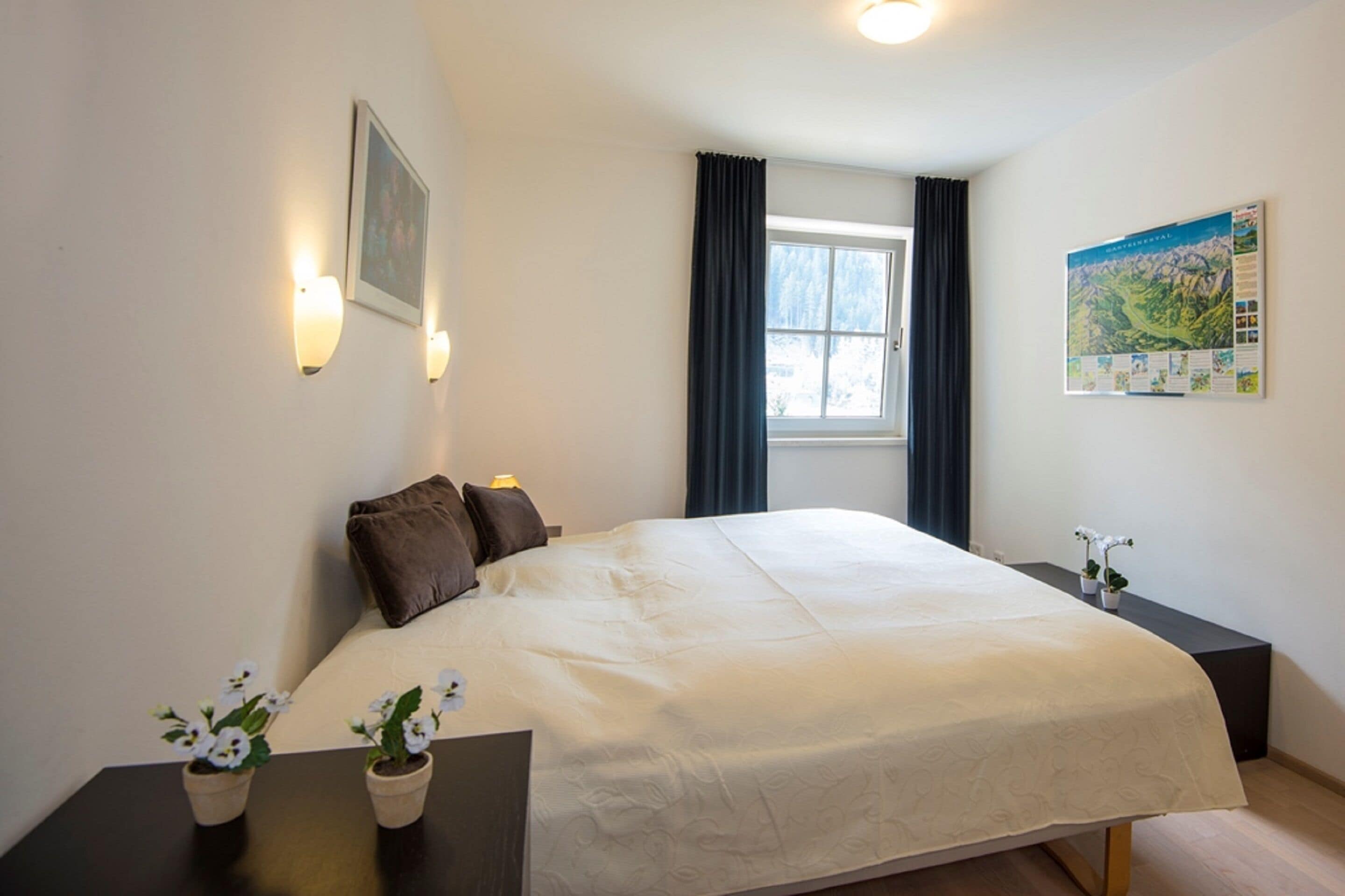 A hotel room with a large bed, a nightstand, a small table with potted plants, a window with curtains, and a wall map.