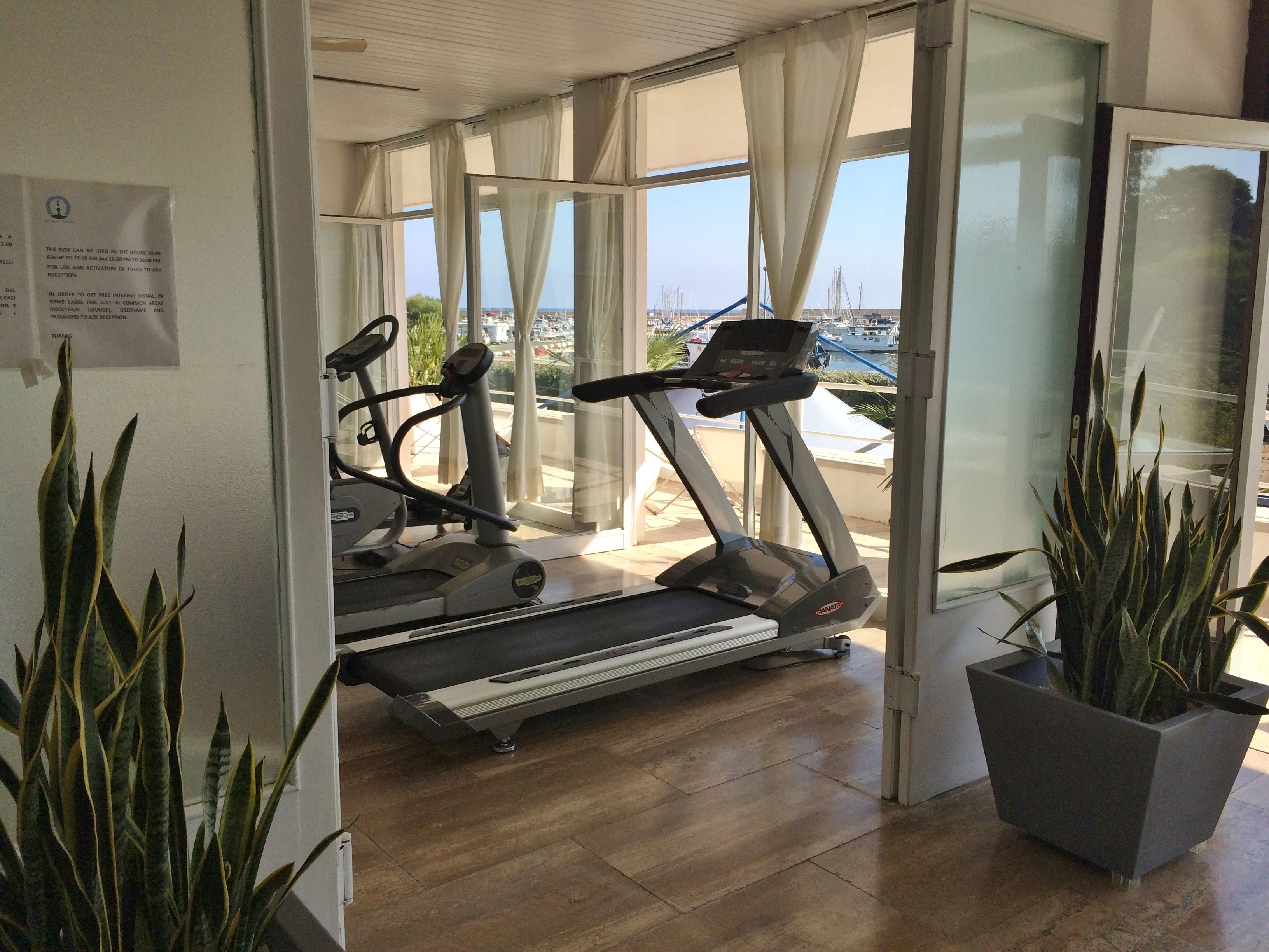 Ein Fitnessstudio mit Laufbändern und Trainingsgeräten, großen Fenstern mit Vorhängen und Zimmerpflanzen.