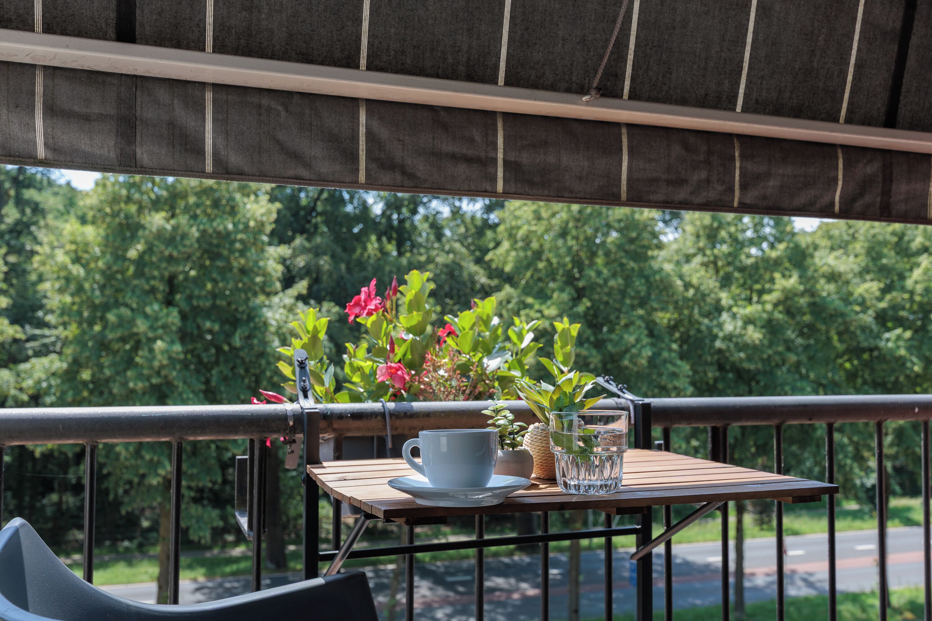 Standard Single Room | Balcony