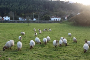 Property grounds - Hotel Pugide (Llanes)
