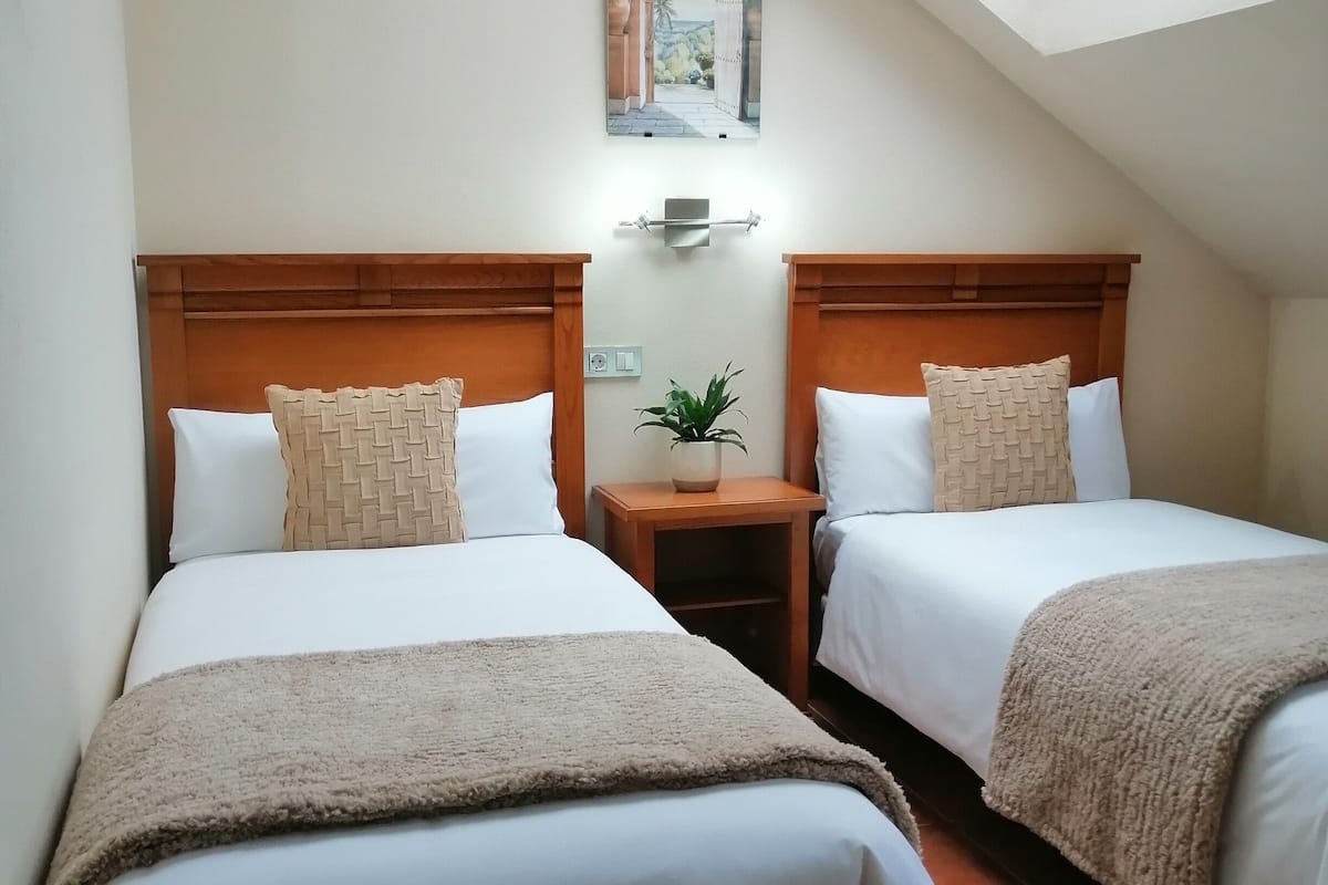 A room with two beds, a skylight, a painting, and a small table with a plant.