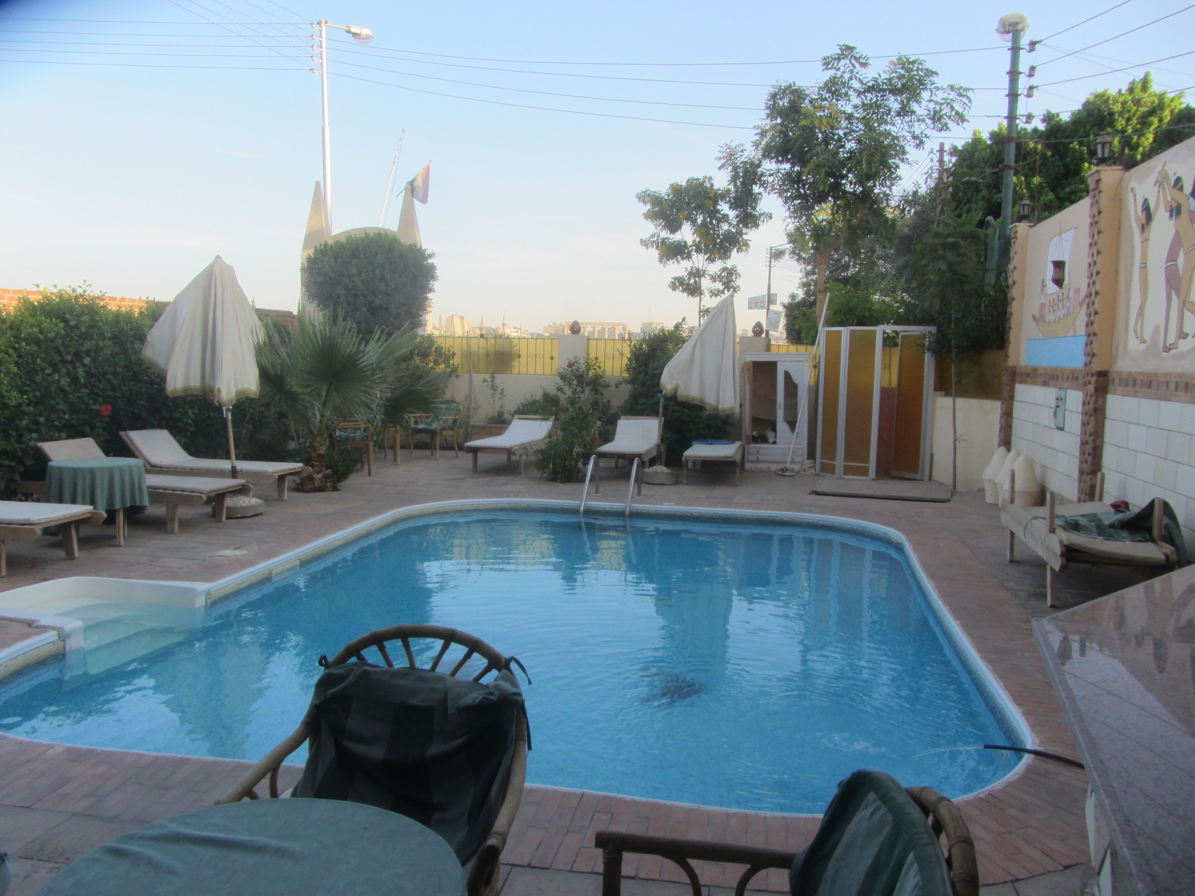 Outdoor pool, sun loungers