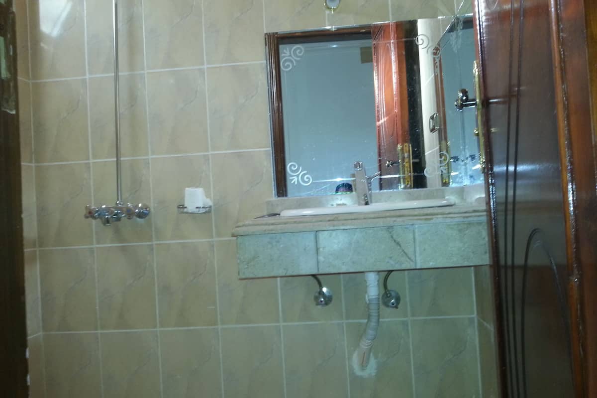 combined shower/bathtub, bidet, towels