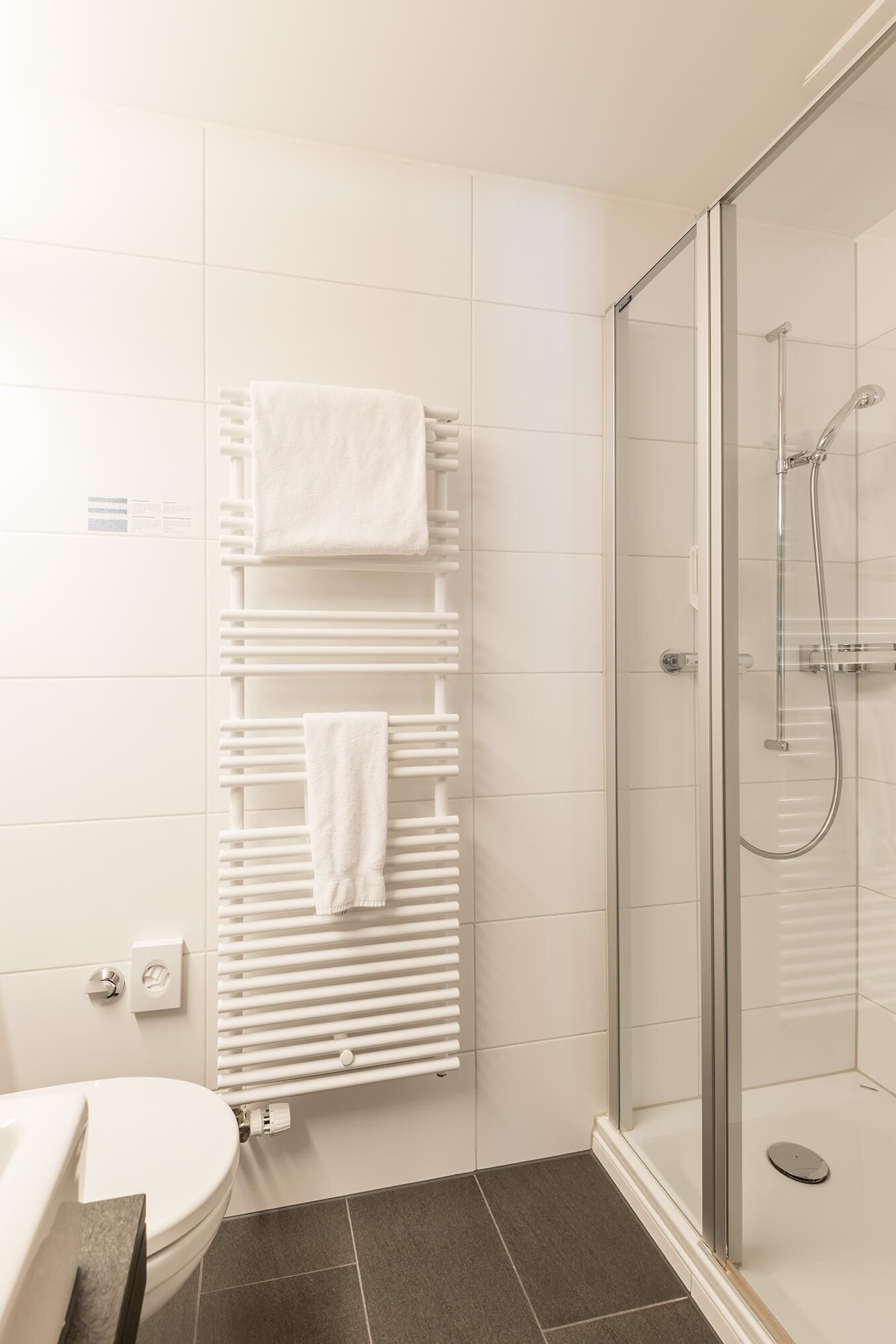 A modern bathroom with a glass shower enclosure, a white towel rack, and a toilet.