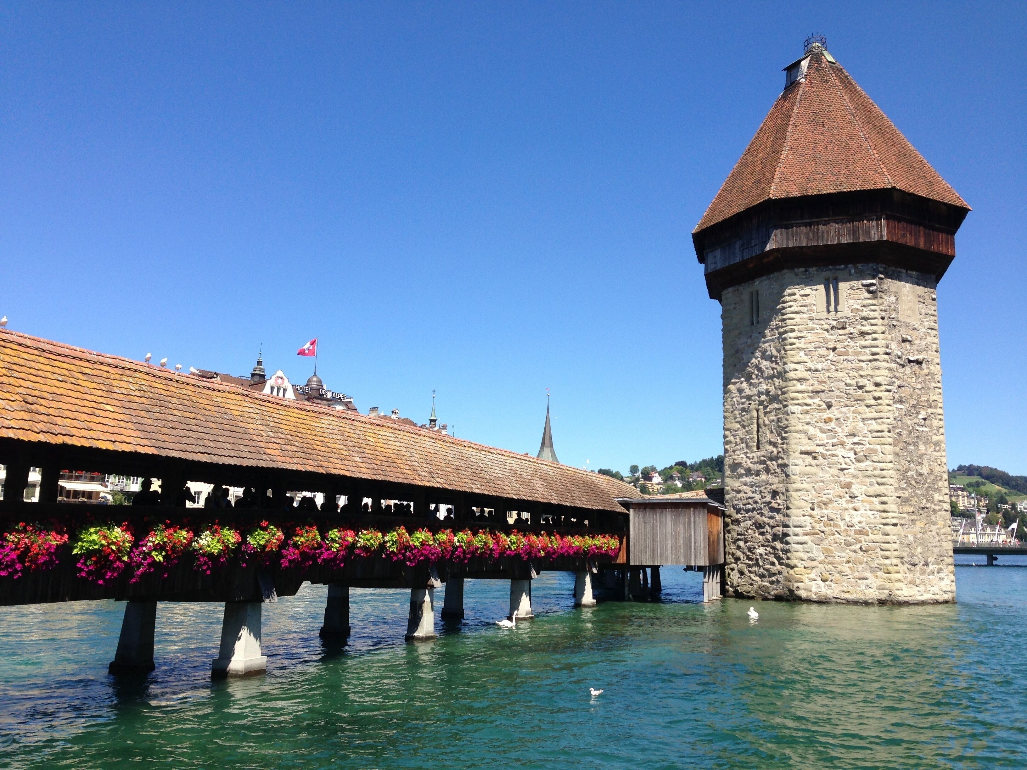 Foto - Hotel Alpina Luzern
