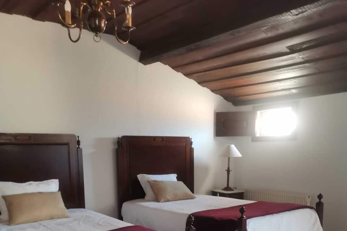 A bedroom with two wooden beds, a chandelier, a radiator, and a floral rug.